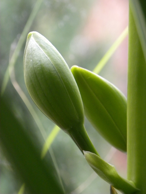 Изображение 051.jpg