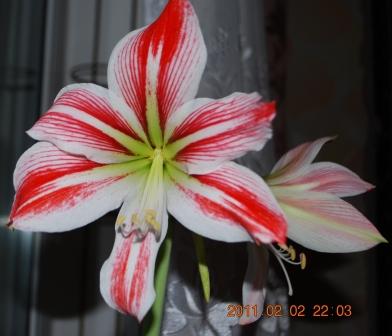 Изображение 1308.jpg