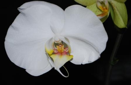 Изображение 1312.jpg