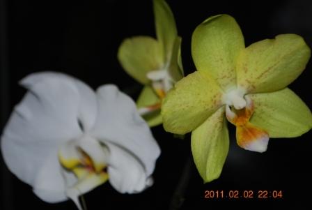 Изображение 1314.jpg