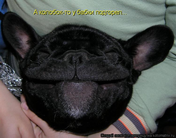 котоматрица 4.jpg