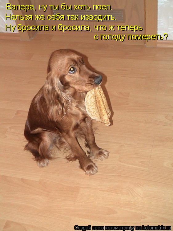 котоматрица 7.jpg