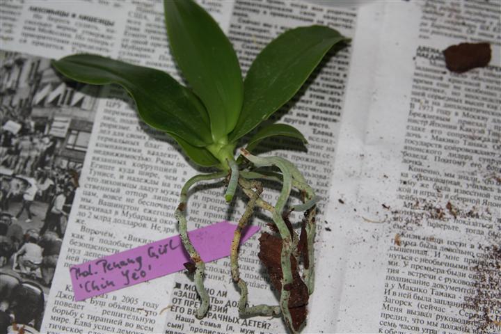 IMG_3922 (Small).JPG