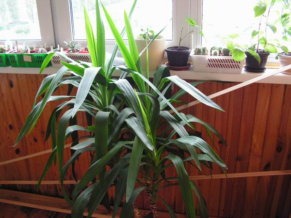 Resize of 2006_09_30 028.jpg