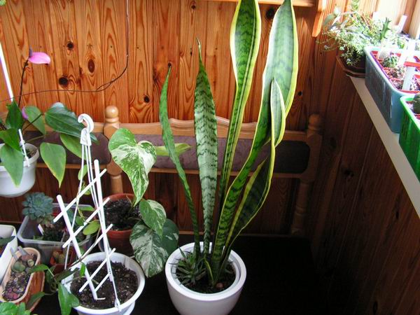 Resize of 2006_09_30 026.jpg