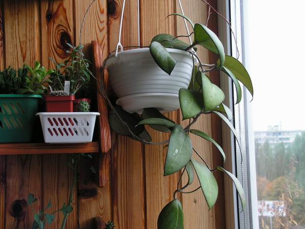 Resize of 2006_09_30 018.jpg