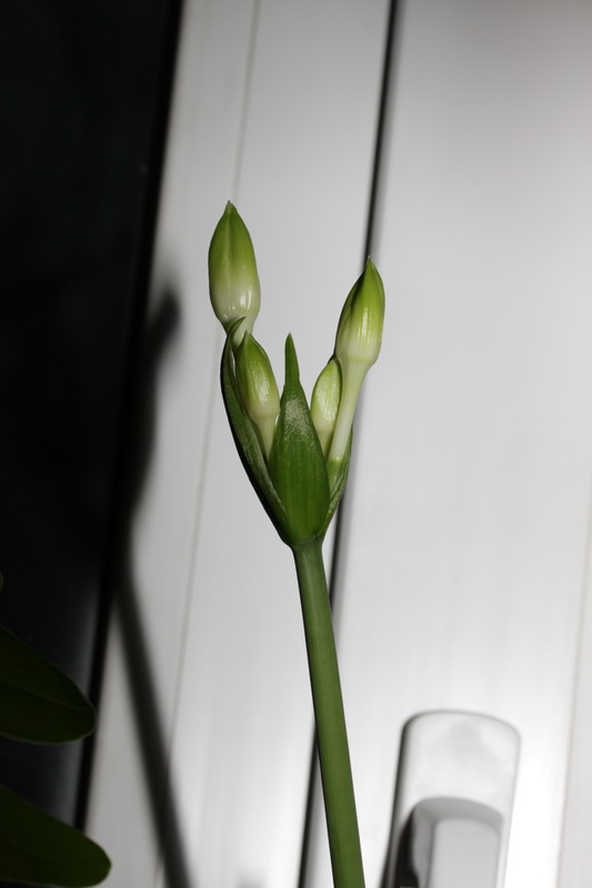 Еще готовились...