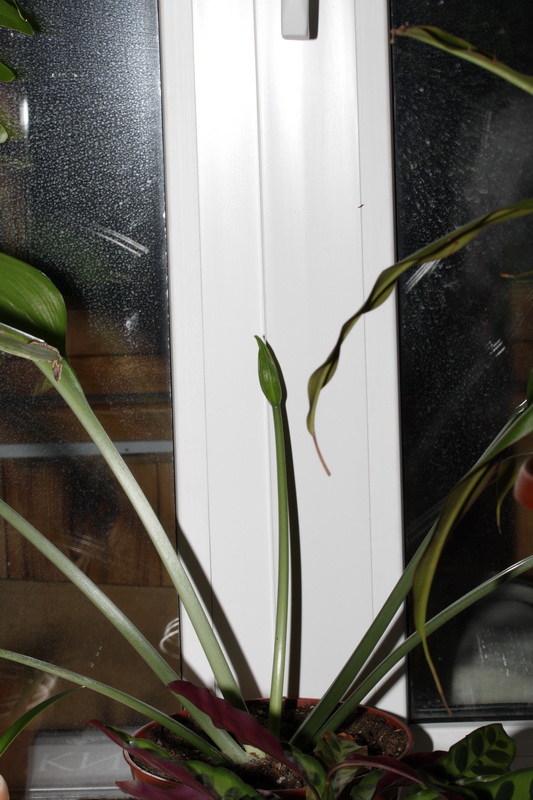 Вот так мы росли...