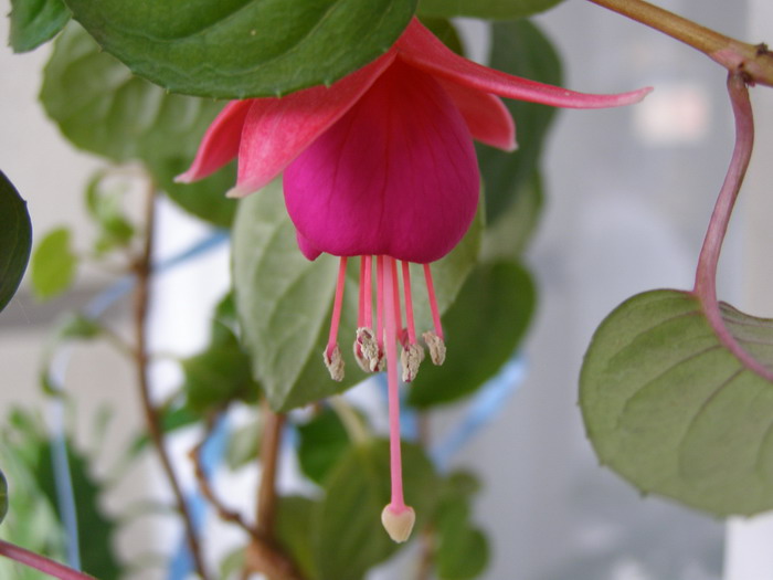 Засмущалась...