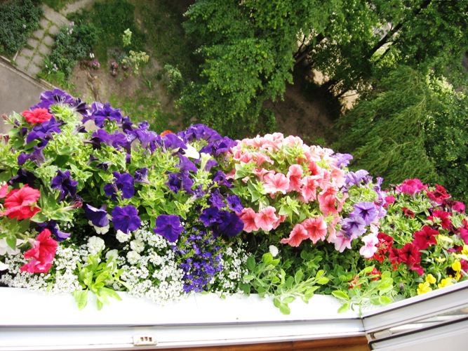 Копия IMG_0242.jpg