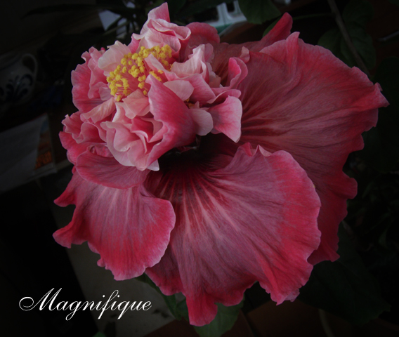 Цветок средний, 16 см