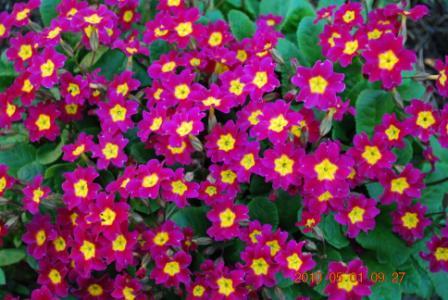 Изображение 363.jpg