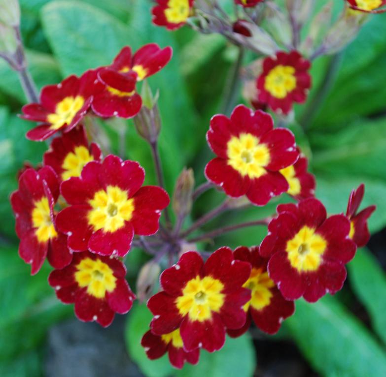 Изображение 364.jpg