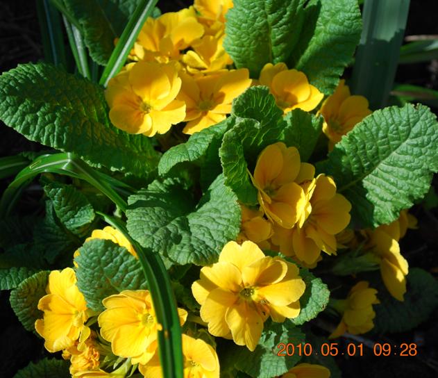 Изображение 366.jpg