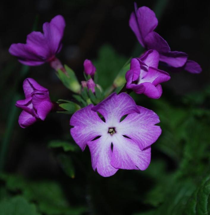 Изображение 399.jpg