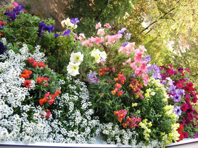 Копия IMG_0989.jpg