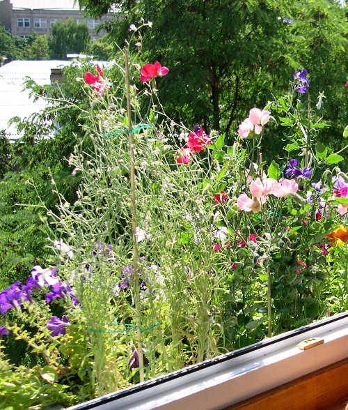 Копия DSCN5174.JPG