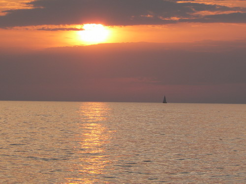 2006 09 19 fiolent 16.jpg