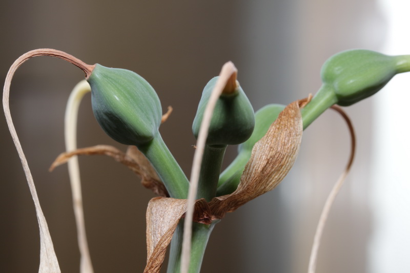 IMG_2944_новый размер.JPG