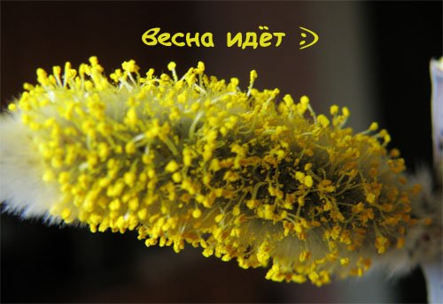 открытка 3.jpg