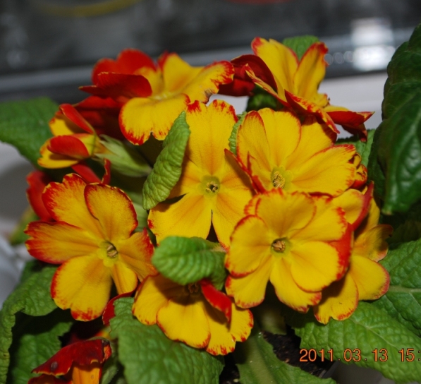 Изображение 1398.jpg