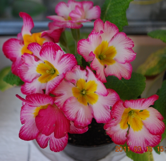 Изображение 1399.jpg