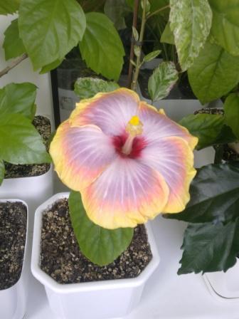 Изображение 020.jpg