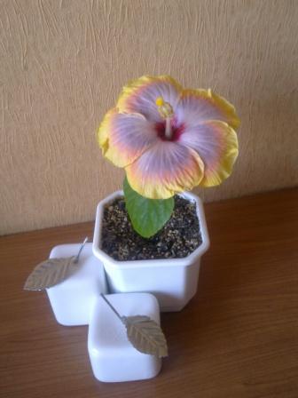 Изображение 024.jpg