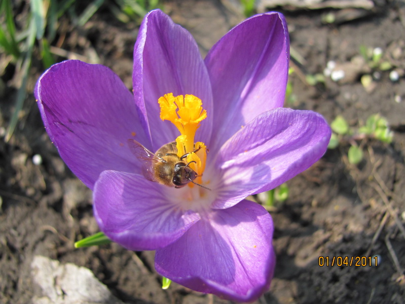 апрель 1 число 038.jpg