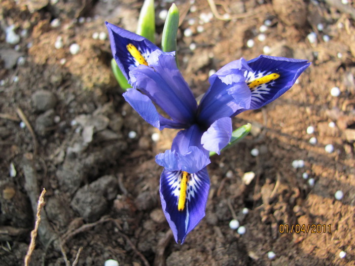 апрель 1 число 051.jpg