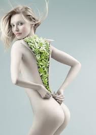 Christophe Gilbert.jpg