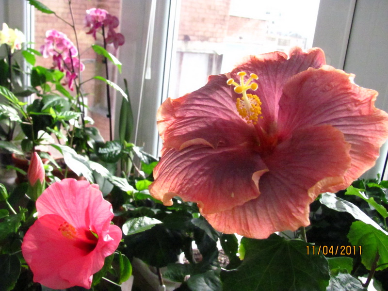 сегодня 11.04 010.jpg