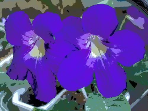 gr strep Marna 2006 10 05.jpg