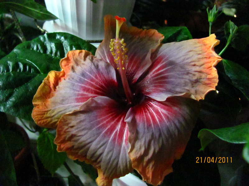 поездка 684.jpg