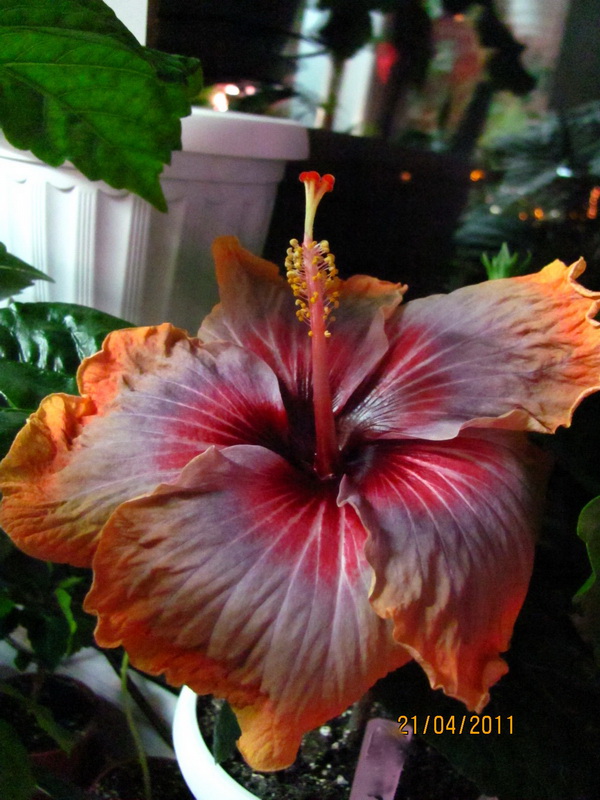 поездка 685.jpg