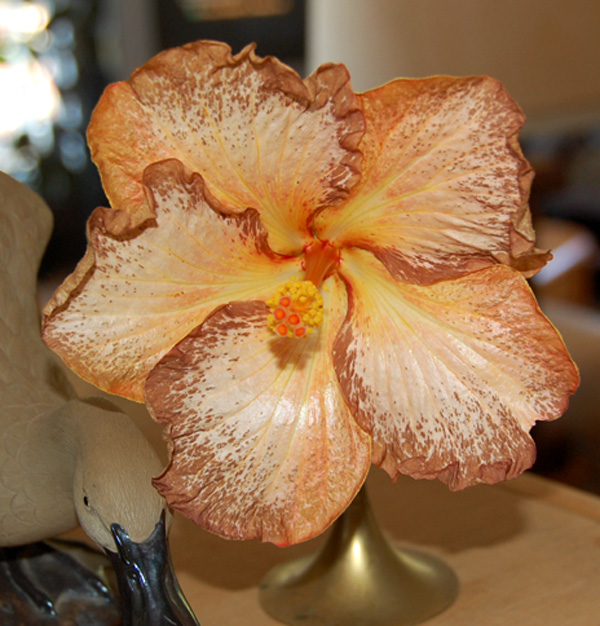 08-7717 BTBWildxAprilShowers_5210.jpg