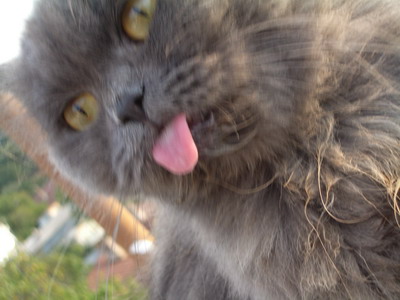 2006 09 24 kot 03.jpg