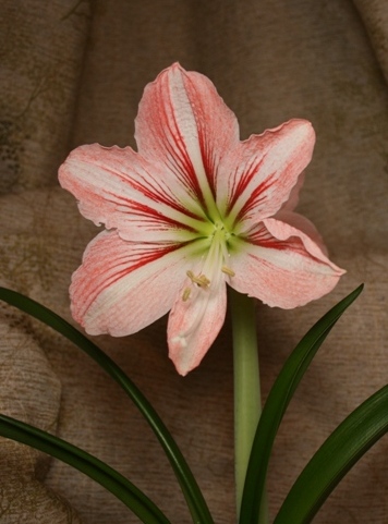 Копия IMG_3023.jpg