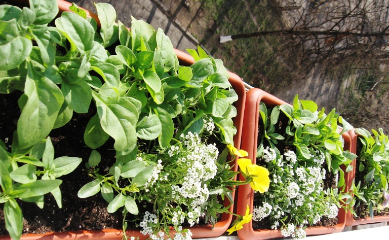 IMG_5892 - копия.JPG