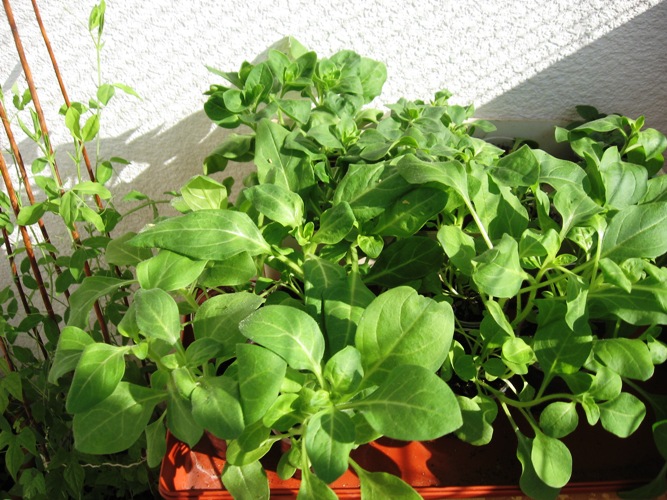 IMG_5899 - копия.JPG