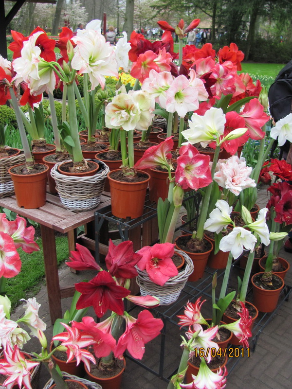 поездка 475.jpg