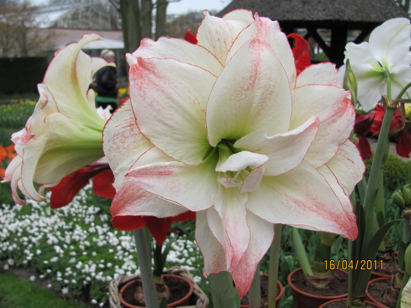 поездка 476.jpg