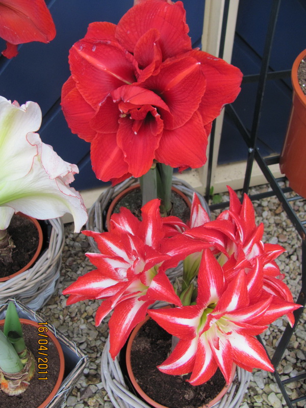 поездка 477.jpg