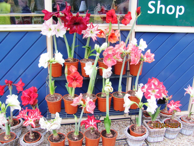 поездка 479.jpg