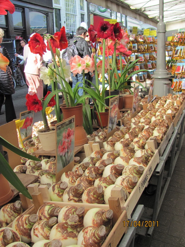 поездка 488.jpg