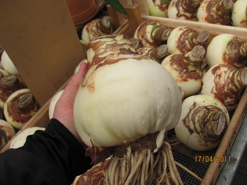 поездка 489.jpg