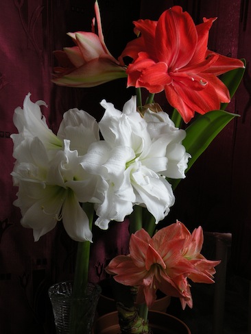 Групповой портрет.jpg