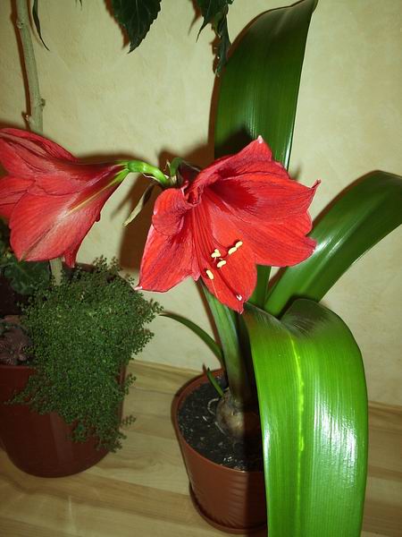 Resize of Копия P2220002.JPG