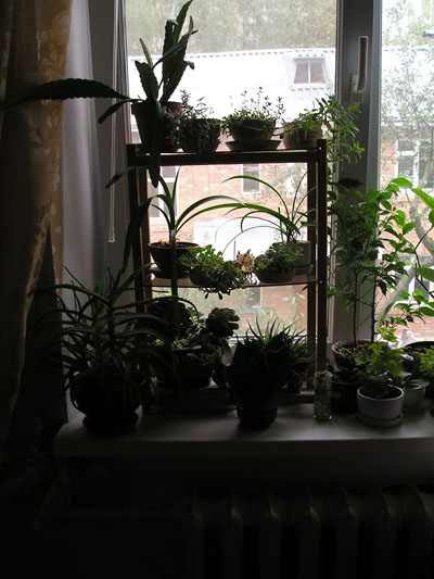 А это дочкин садик