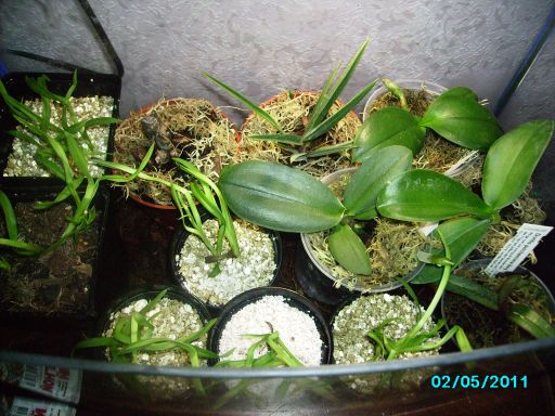 Всё что поместилось в аквариум, где рыбки жили.